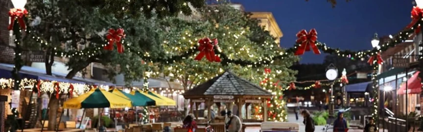 Christmas in Savannah: Holiday Lights, Events & Southern Festivities