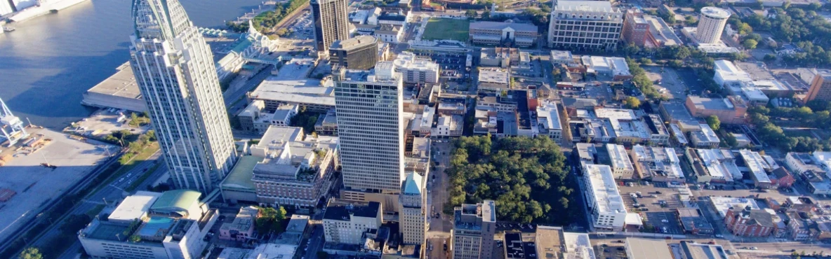 Dining at The Noble South: Southern Food with a Modern Twist