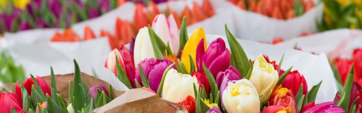 Exploring Vienna’s Flower Markets