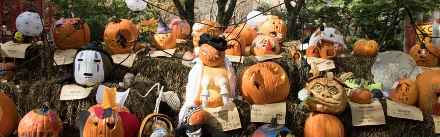 Halloween in Washington 2025: The Best Places to Celebrate the Spooky Season