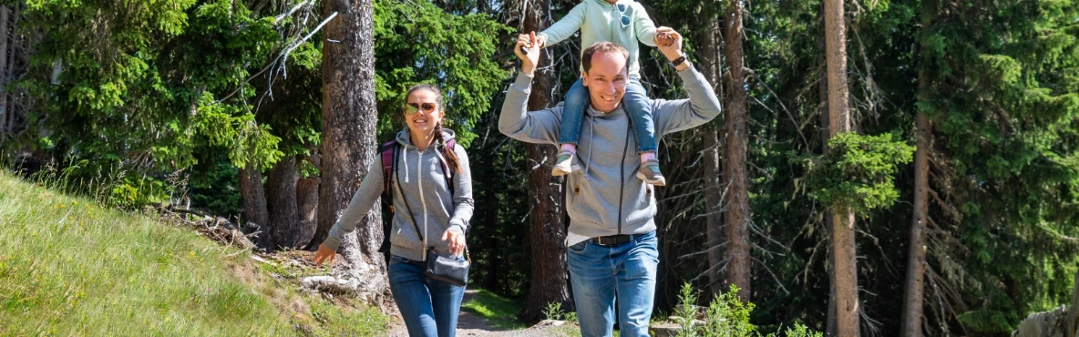 Hiking the Bisamberg Trails Near Vienna