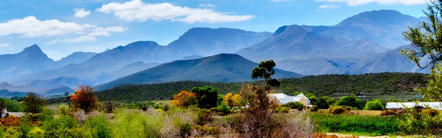 Oudtshoorn Travel Guide: The Ostrich Capital of the World