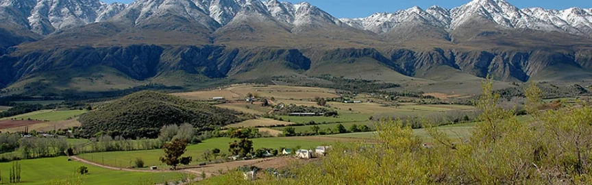 Shopping in Oudtshoorn: Where Culture Meets Craft