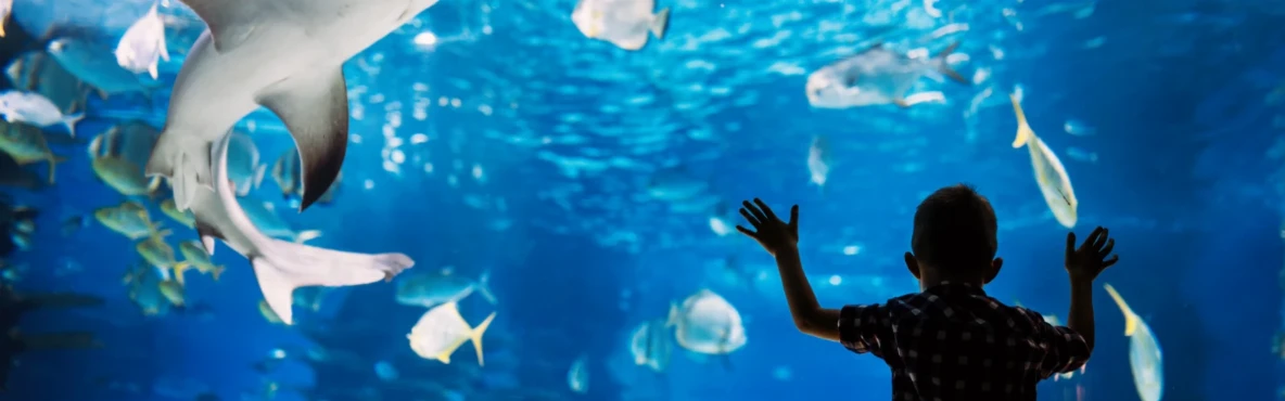 Taraporewala Aquarium: Underwater World in Mumbai
