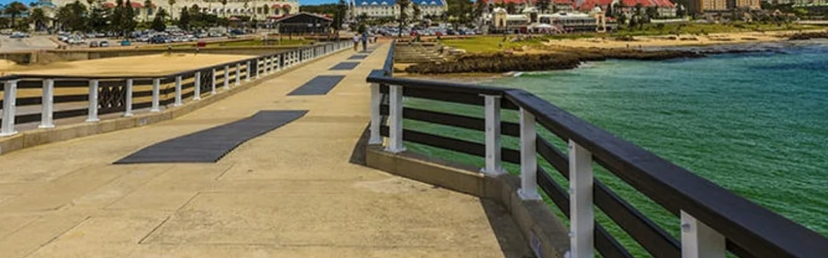 Top Attractions in Port Elizabeth: Discover the Best Sights and Experiences