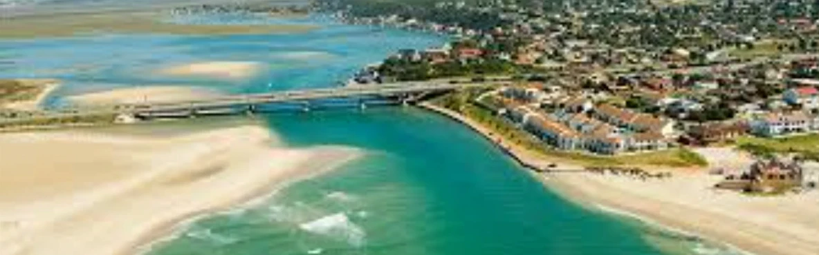 Top Things to Do in Port Elizabeth (Gqeberha) 2025 – Wildlife, Adventure & Culture