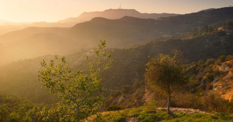 East Los Angeles, CA Vacation Rentals