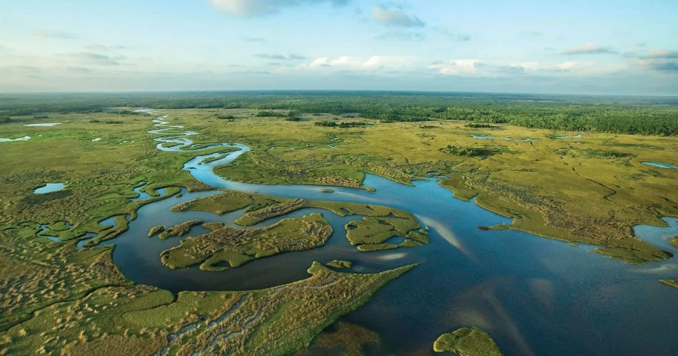 Everglades, FL Vacation Rentals